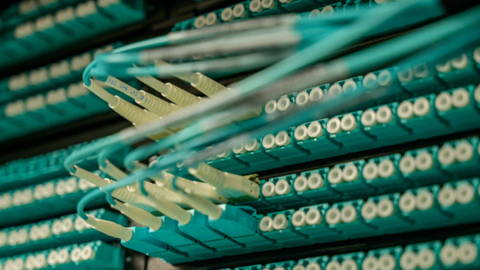 Server med kablar prydligt monterade – metafor för välordnad, grön hostinginfrastruktur.