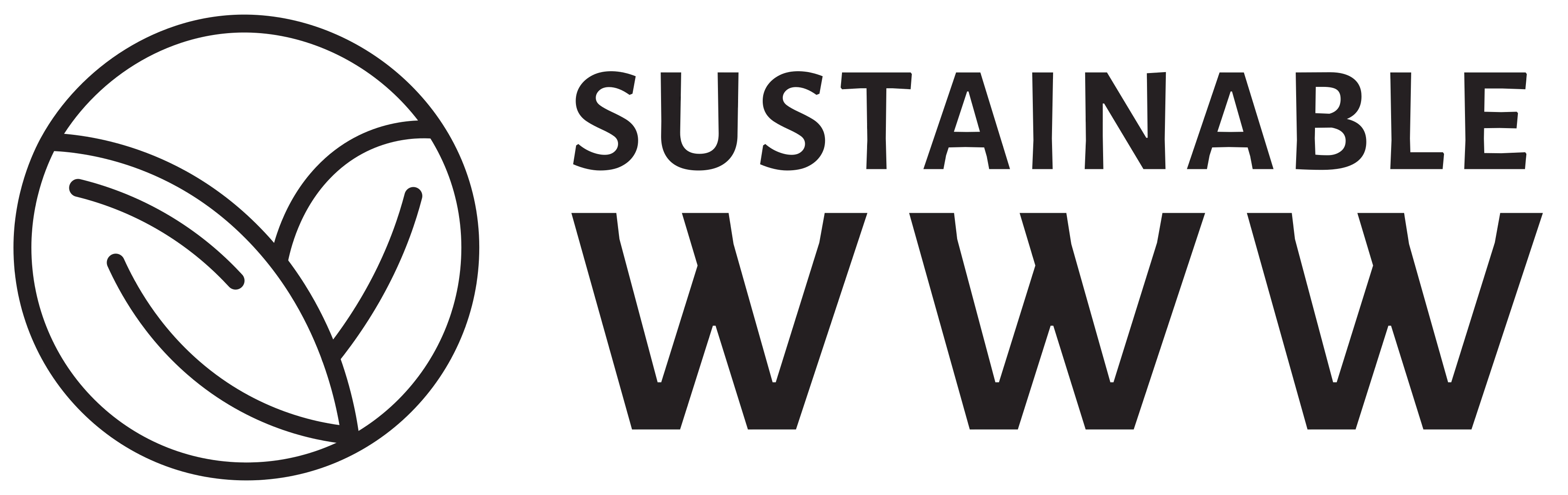 Sustainable WWW